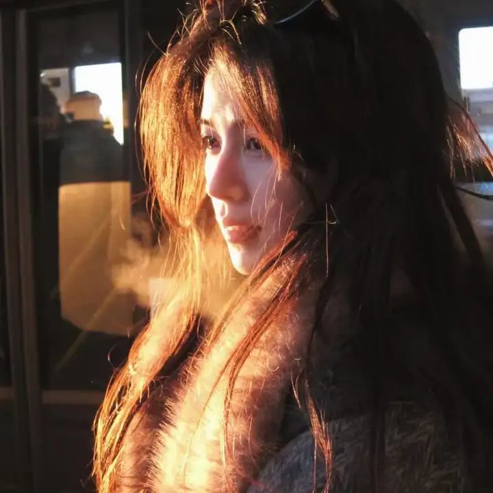 火影忍者剧场版：大兴奋！三日月岛的动物骚动